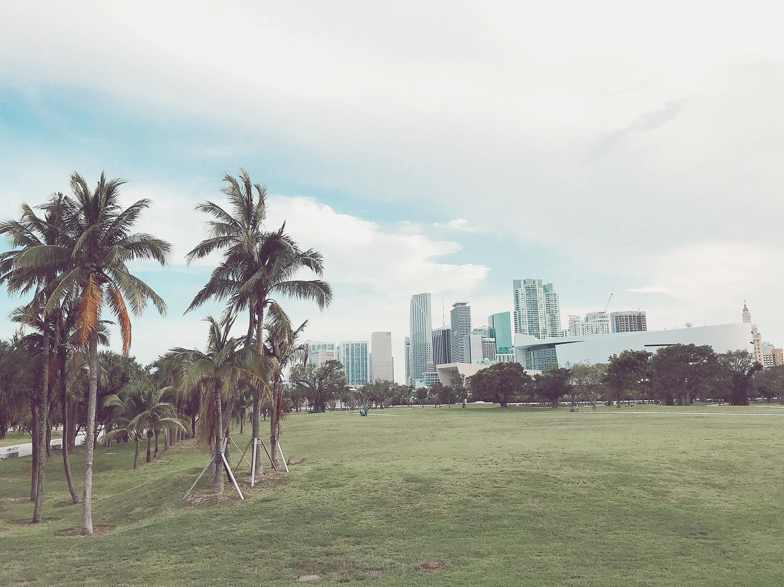 View of the skyline in Downtown Miami